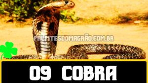 COBRA JOGO DO BICHO em 2023