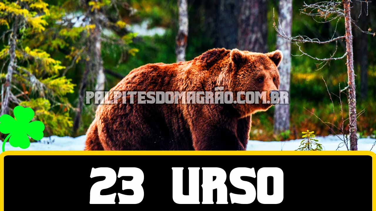 Grupo 23 - Dezenas do Urso - Jogo do Bicho